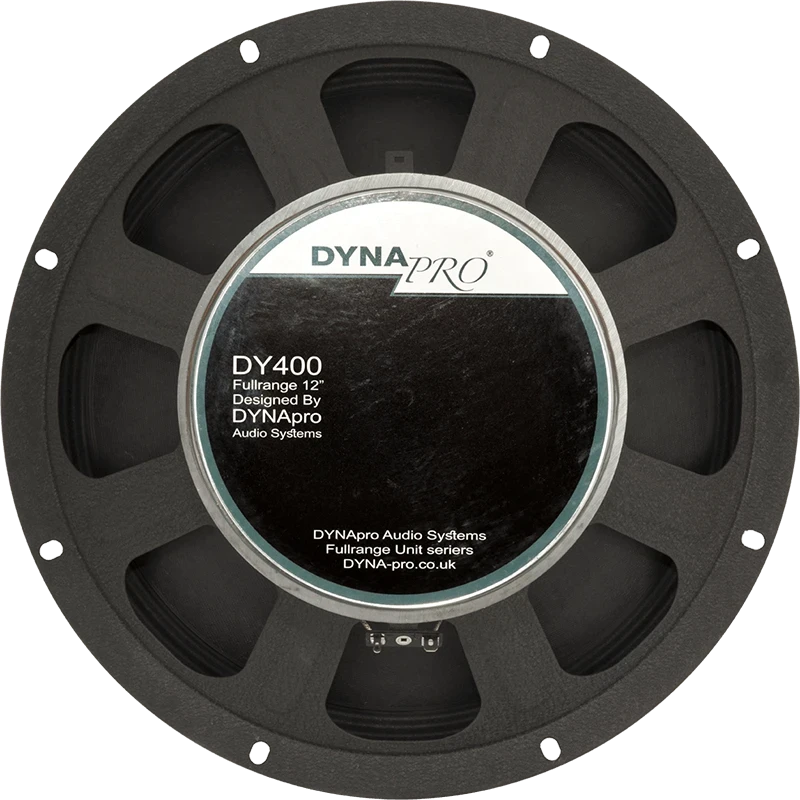 بلندگو ها و لوازم جانبی|DY 400